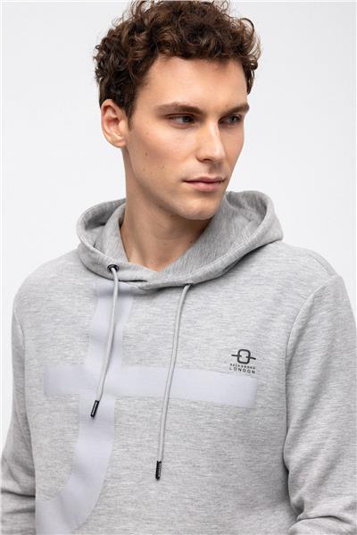 Açık Gri Regular Fit Kapüşonlu Sweatshirt