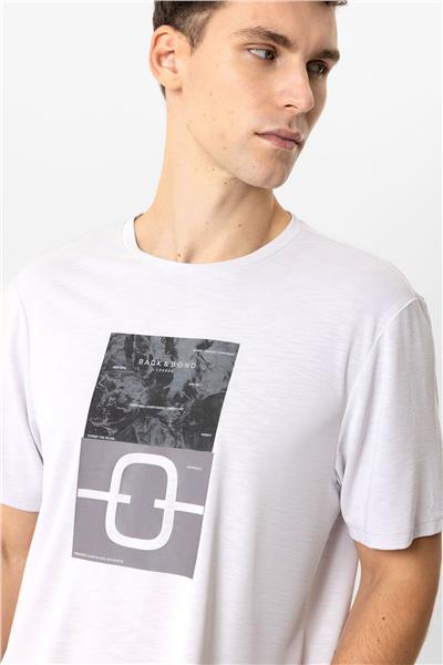 Açık Gri Regular Fit Bisiklet Yaka Baskılı Tişört