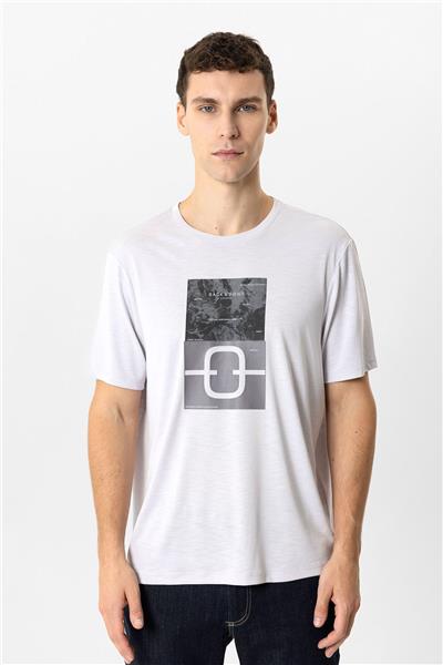 Açık Gri Regular Fit Bisiklet Yaka Baskılı Tişört