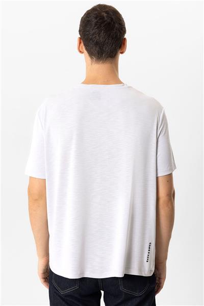 Açık Gri Regular Fit Bisiklet Yaka Baskılı Tişört