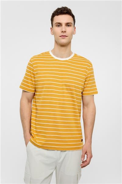 Sarı Regular Fit Bisiklet Yaka Çizgili Örme Tişört