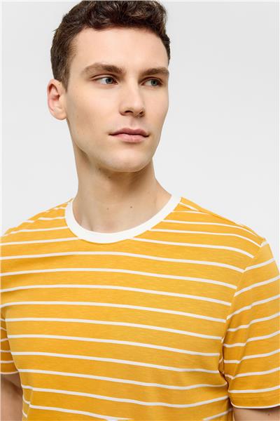 Sarı Regular Fit Bisiklet Yaka Çizgili Örme Tişört