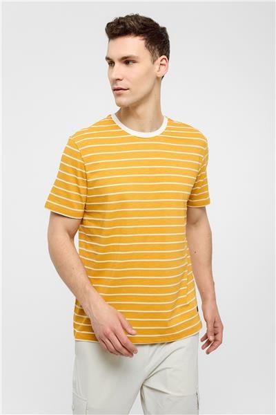 Sarı Regular Fit Bisiklet Yaka Çizgili Örme Tişört