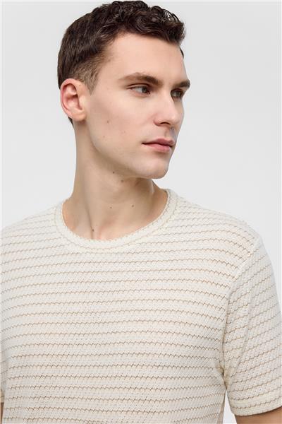 Bej Regular Fit Bisiklet Yaka Çizgili Tişört