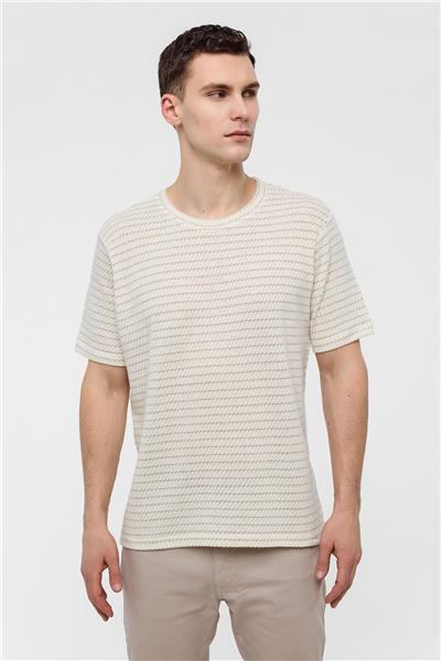 Bej Regular Fit Bisiklet Yaka Çizgili Tişört