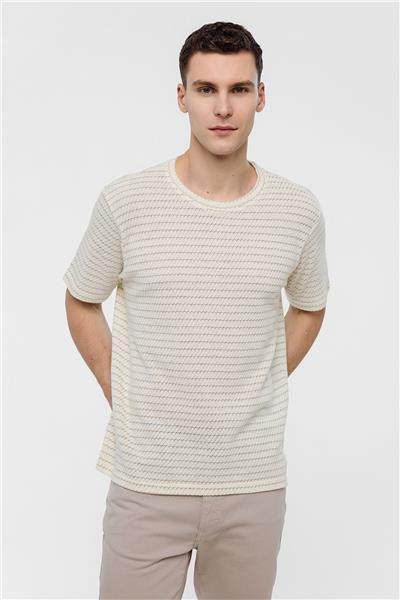 Bej Regular Fit Bisiklet Yaka Çizgili Tişört