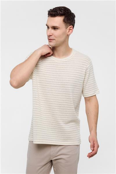 Bej Regular Fit Bisiklet Yaka Çizgili Tişört