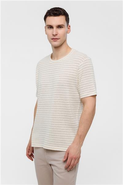 Bej Regular Fit Bisiklet Yaka Çizgili Tişört