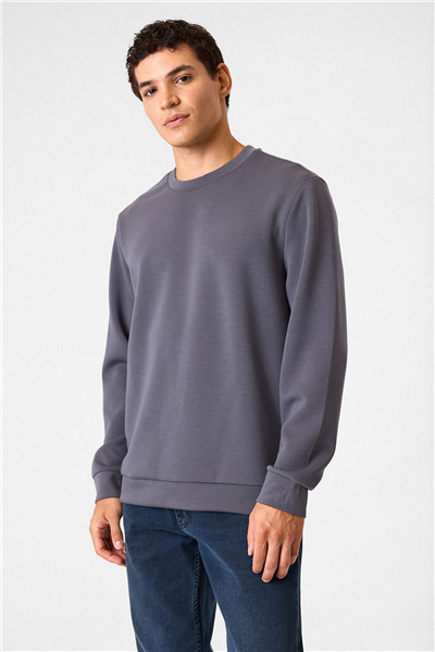 Regular Fit Bisiklet Yaka Gri Sweatshirt