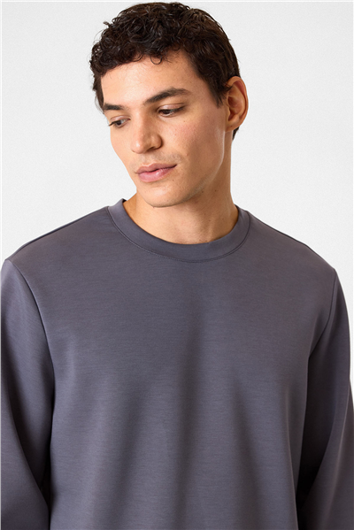 Regular Fit Bisiklet Yaka Gri Sweatshirt