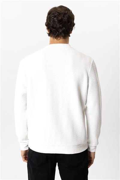 Beyaz Regular Fit Pamuklu Desenli Bisiklet Yaka Sweatshirt