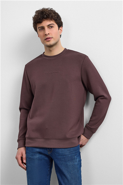 Kahve Regular Fit Bisiklet Yaka Sweatshirt