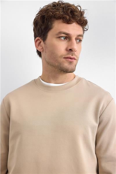 Bej Regular Fit Bisiklet Yaka Sweatshirt