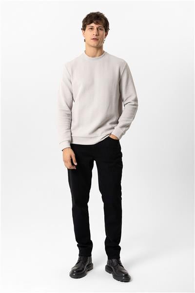 Açık Gri Regular Fit Pamuklu Desenli Bisiklet Yaka Sweatshirt