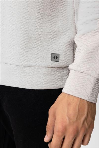 Açık Gri Regular Fit Pamuklu Desenli Bisiklet Yaka Sweatshirt