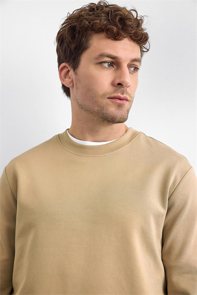 Vizon Regular Fit Bisiklet Yaka Sweatshirt