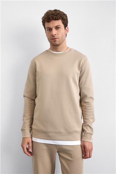 Bej Regular Fit Bisiklet Yaka Sweatshirt