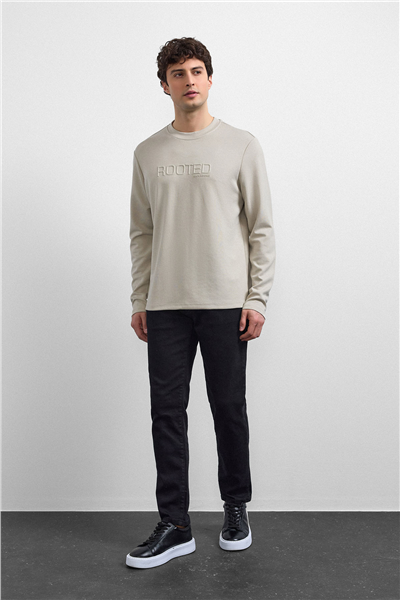 Bej Regular Fit Bisiklet Yaka Sweatshirt