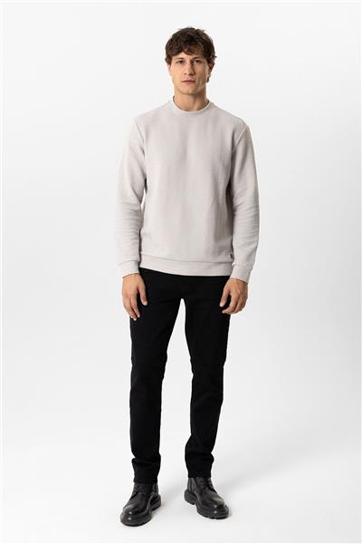 Açık Gri Regular Fit Pamuklu Desenli Bisiklet Yaka Sweatshirt