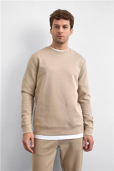 Bej Regular Fit Bisiklet Yaka Sweatshirt