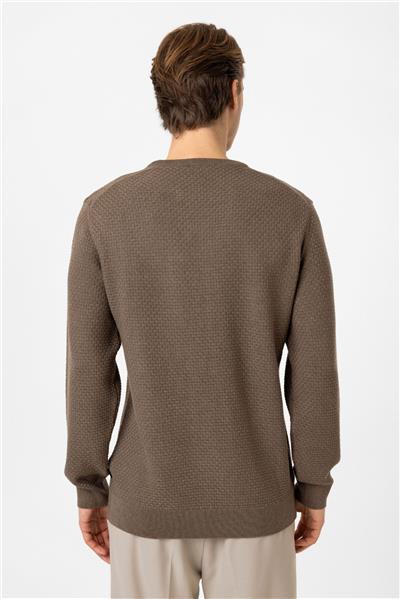 Vizon Regular Fit Pamuklu Bisiklet Yaka Triko Kazak