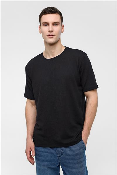 Siyah Regular Fit Bisiklet Yaka Tişört