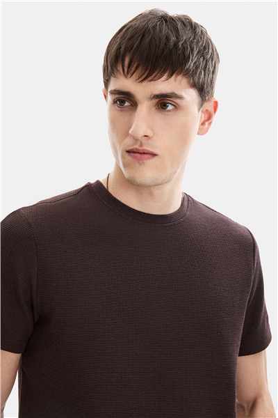 Kahve Regular Fit Örme Bisiklet Yaka Tişört