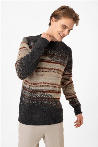 Regular Fit Desenli Triko Kazak