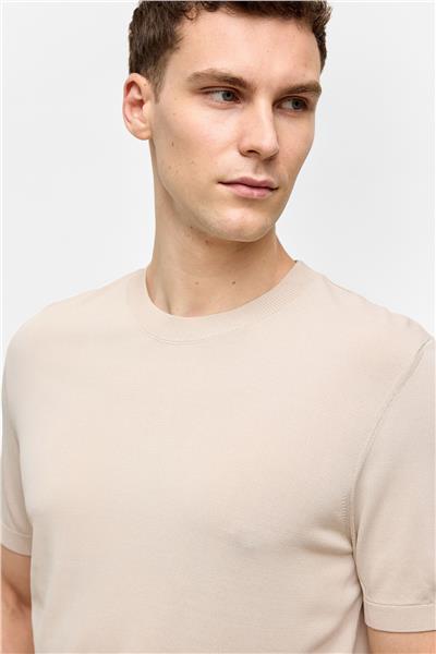 Bej Regular Fit Triko Bisiklet Yaka Tişört