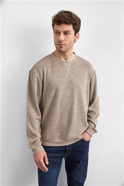 Vizon Regular Fit Bisiklet Yaka Sweatshirt