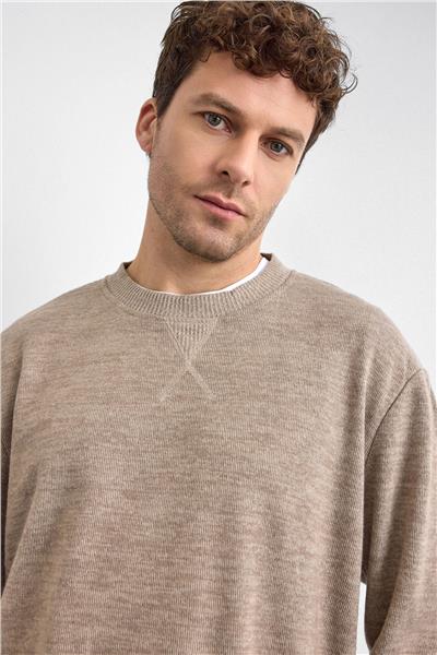 Vizon Regular Fit Bisiklet Yaka Sweatshirt