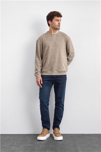 Vizon Regular Fit Bisiklet Yaka Sweatshirt