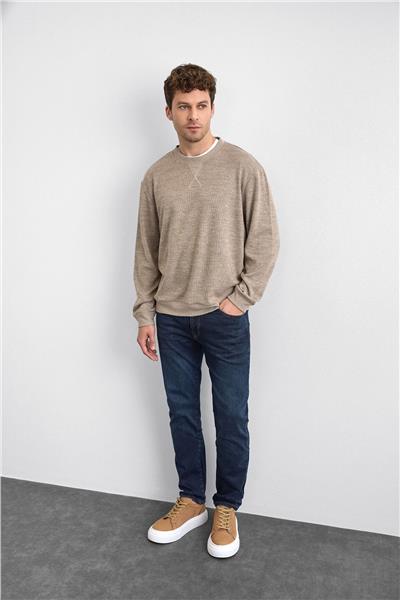 Vizon Regular Fit Bisiklet Yaka Sweatshirt