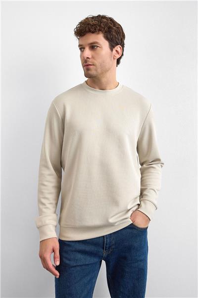 Taş Regular Fit Uzun Kol Bisiklet Yaka Tişört