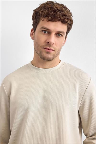 Taş Regular Fit Uzun Kol Bisiklet Yaka Tişört