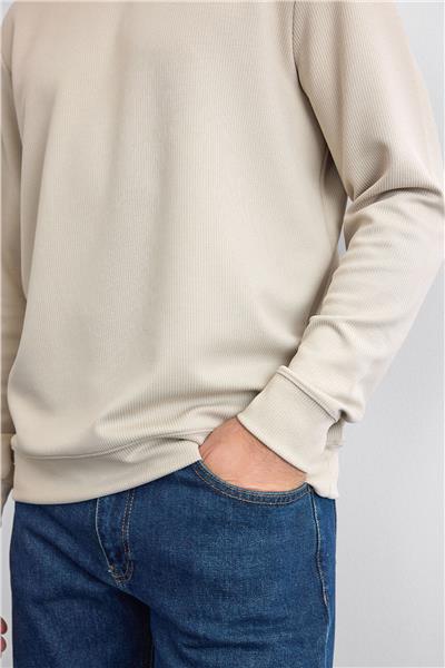 Taş Regular Fit Uzun Kol Bisiklet Yaka Tişört