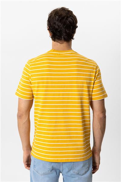 Sarı Regular Fit Bisiklet Yaka Çizgili Tişört