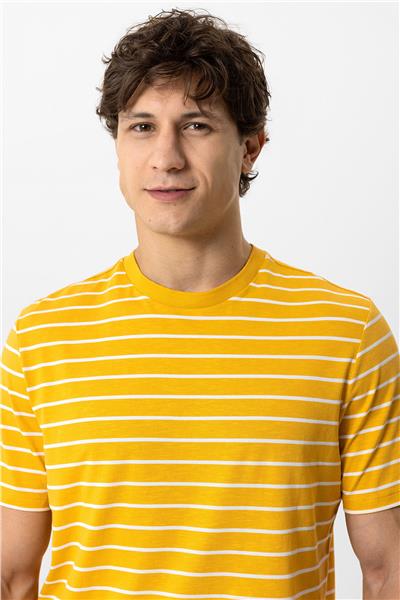 Sarı Regular Fit Bisiklet Yaka Çizgili Tişört