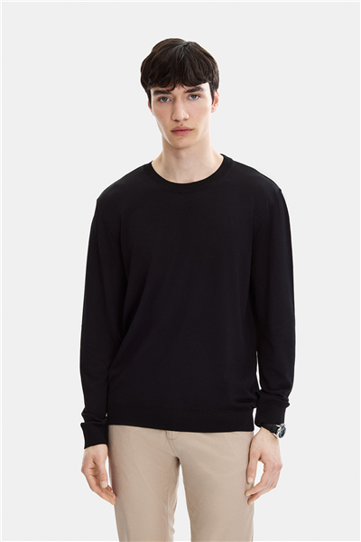 Siyah Regular Fit Bisiklet Yaka Mevsimlik Triko 