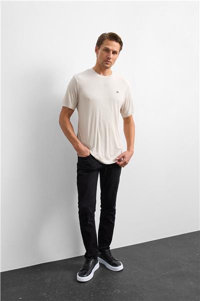 Taş Regular Fit Bisiklet Yaka Tişört