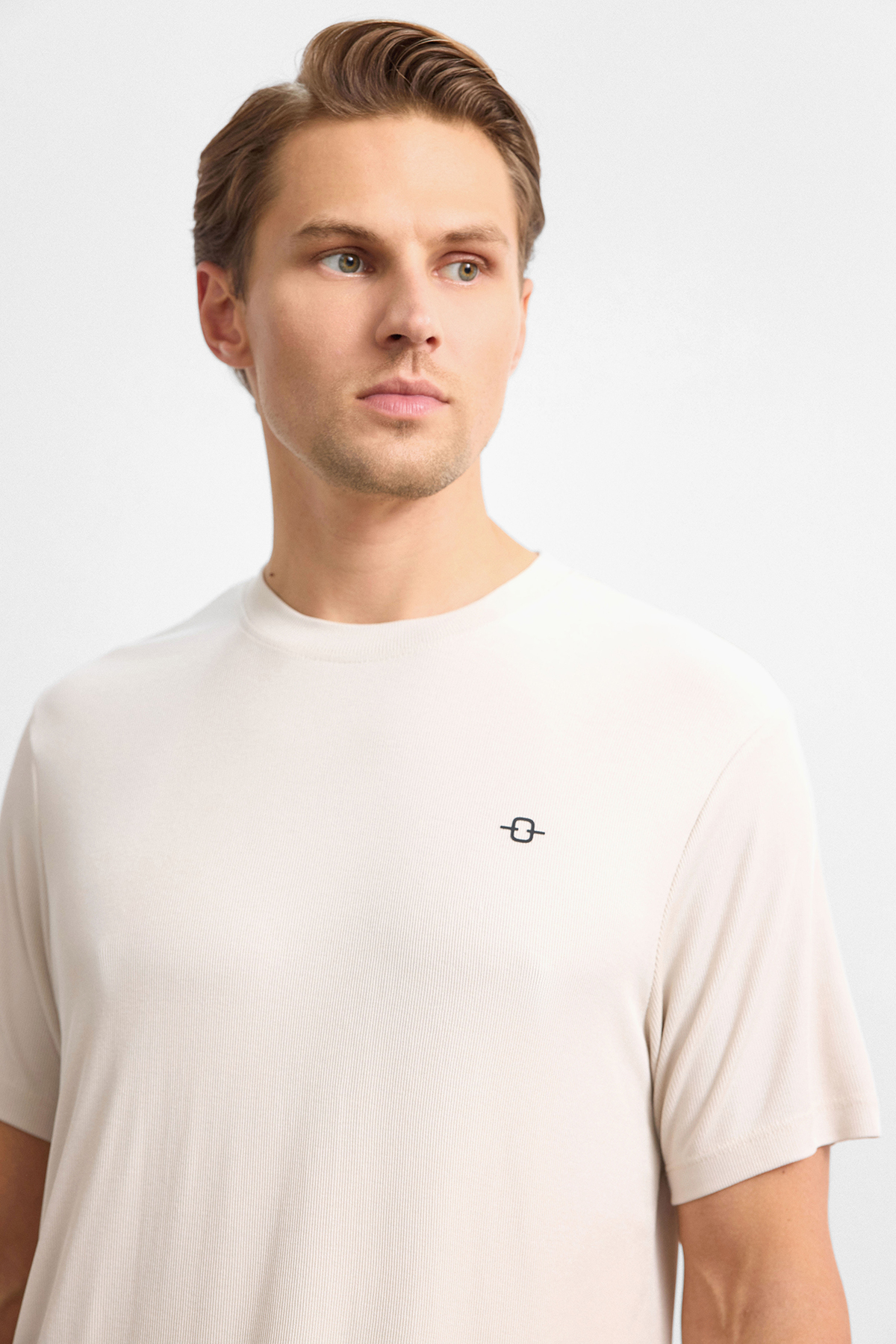 Taş Regular Fit Bisiklet Yaka Tişört