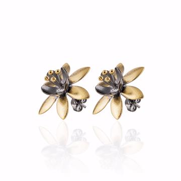 Çift Renkli Zambak Küpe