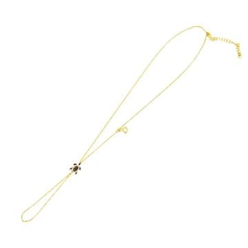 Kaplumbağa Şahmeran