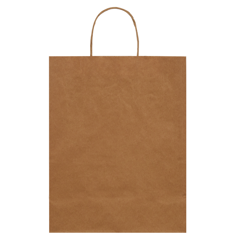 Burgu Saplı Kraft Çanta