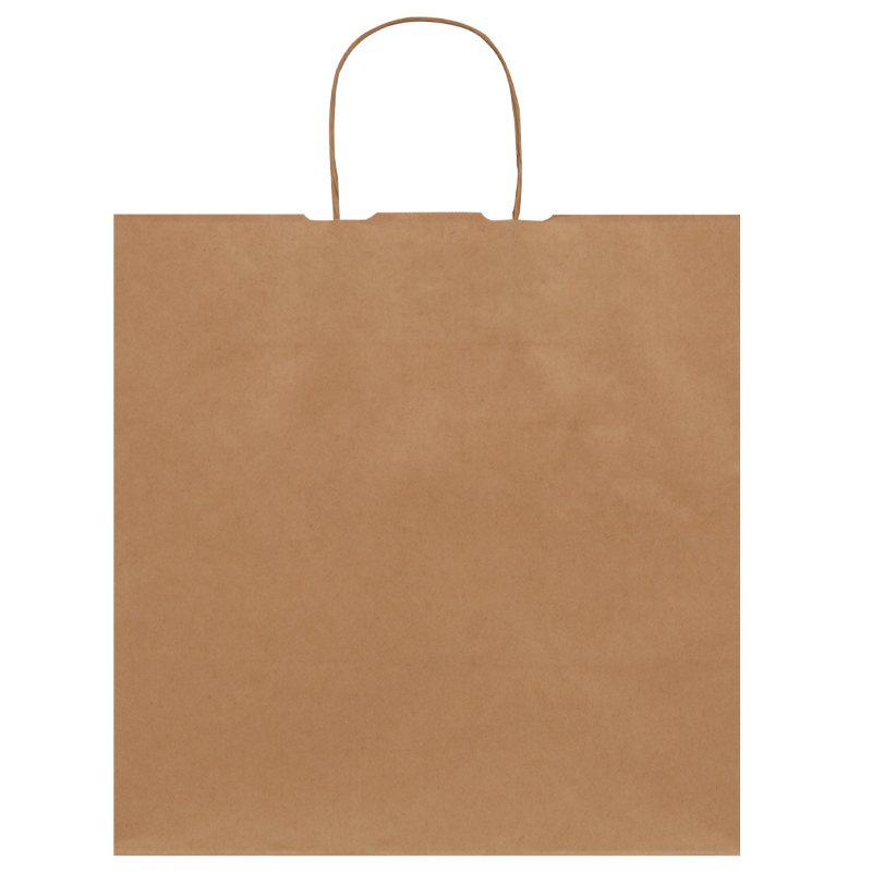 Burgu Saplı Kraft Çanta