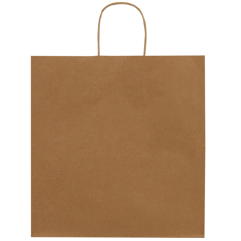 Burgu Saplı Kraft Çanta