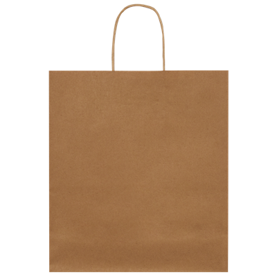 Burgu Saplı Kraft Çanta