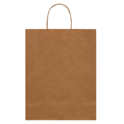 Burgu Saplı Kraft Çanta