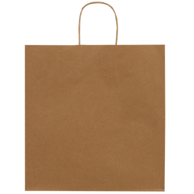 Burgu Saplı Kraft Çanta