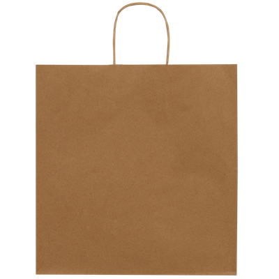 Burgu Saplı Kraft Çanta